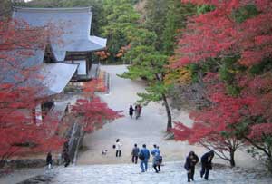 Autumn leaves in Kyoto